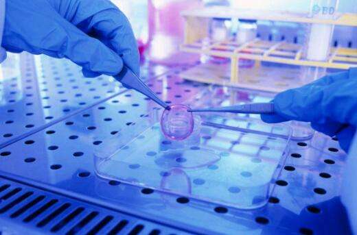 1553932202988032.jpg 角膜上皮干細胞移植給患者帶來(lái)光明.jpg