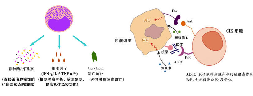 1599209988986850.jpg 2018020557867997.jpg