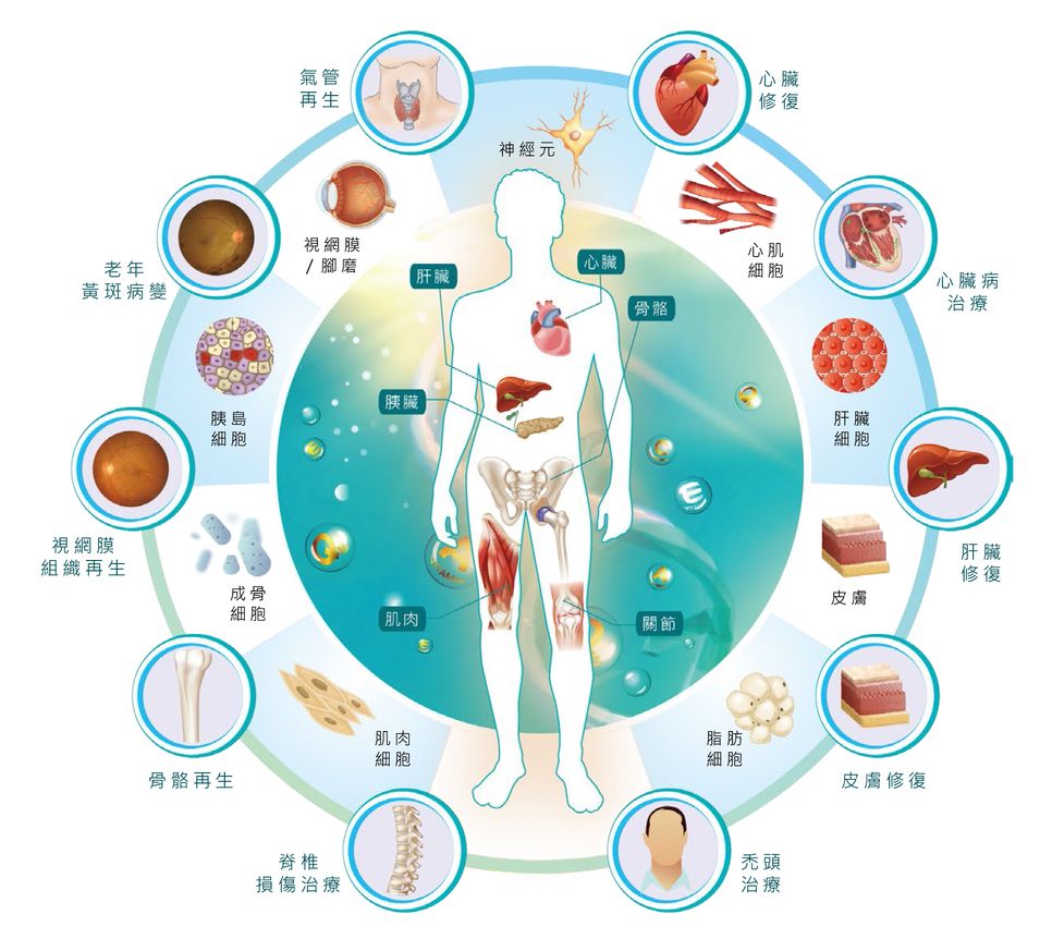 1599630412247848.jpg 1599630412247848.jpg