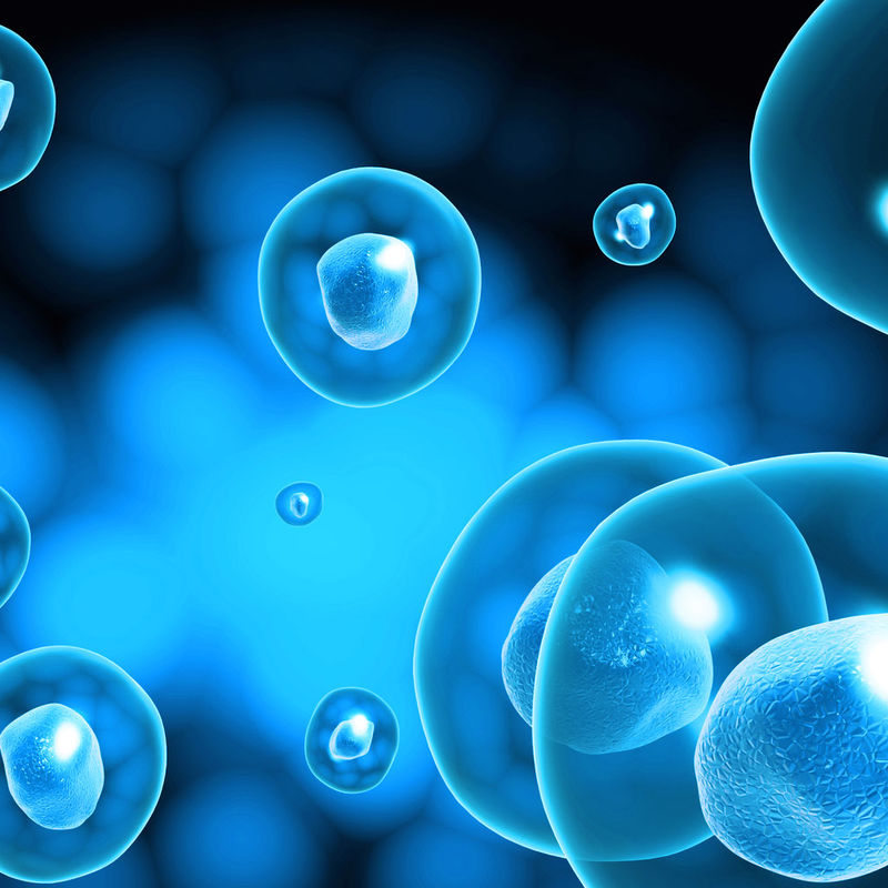 1604308118263718.jpg 4610b912c8fcc3cebe50bf9c9845d688d53f2088.jpg