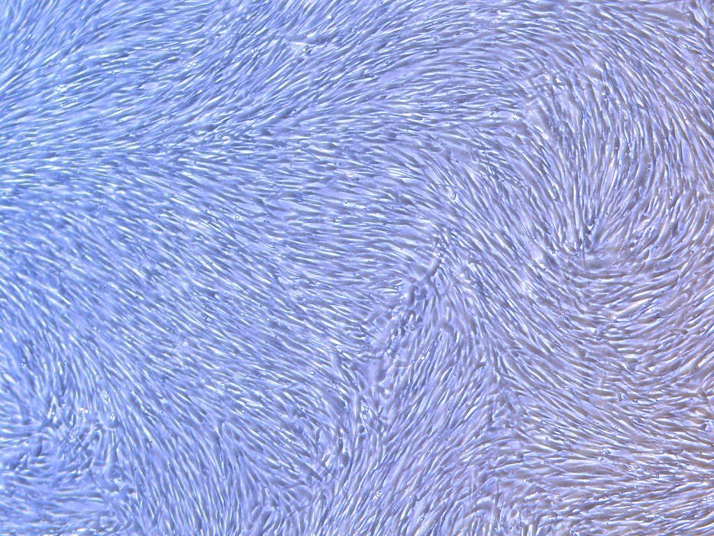 1644973967519974.jpg 5X-4_副本.jpg