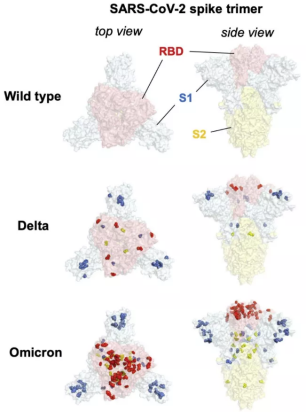 1646814628294611.png 641.png