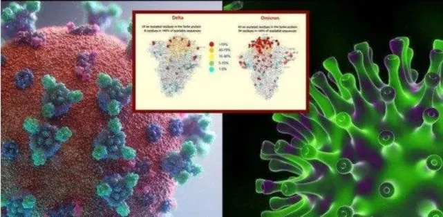 1648523059438186.png 2.png