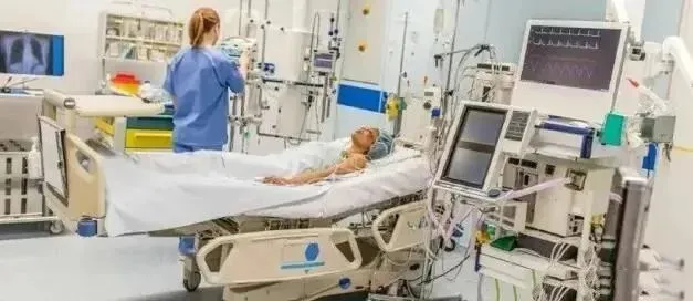 1648523070739801.png 3.png