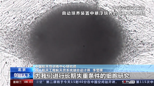 1649750186127577.png 7.png