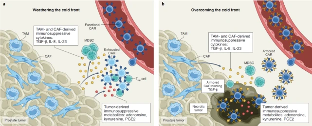 1652856733263012.png 046854a8e8780316d519265fbaf06ea.png