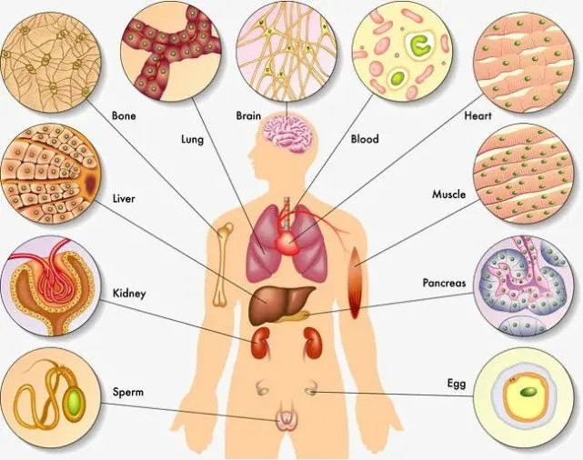 1653633091177872.png 29309927aa15fdde6f72d570520f095.png