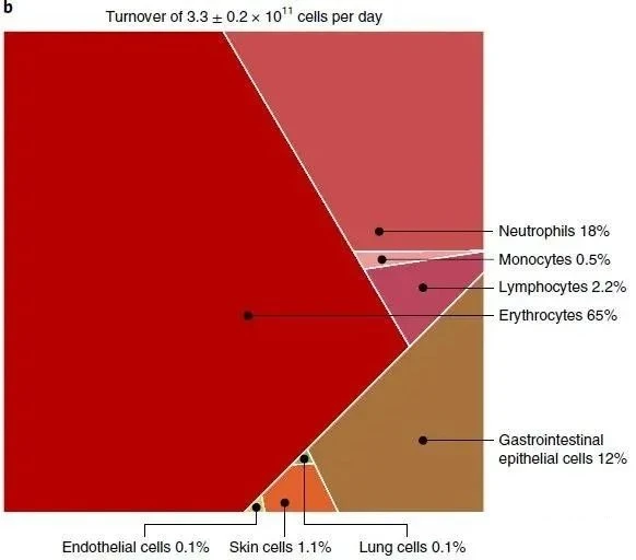 1653633243710738.png ecdad211766b1b17ec5d5fc2e83fddb.png