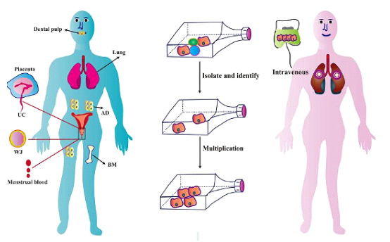 1670376069407375.png 微信圖片_20221207091953.png