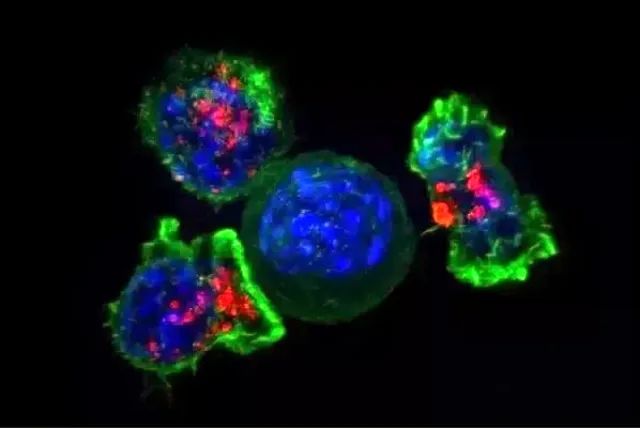 1680586049857583.jpg 640.jpg