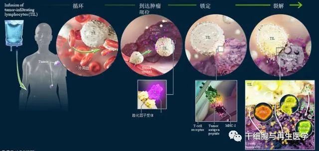 1680586090307063.jpg 640 (3).jpg