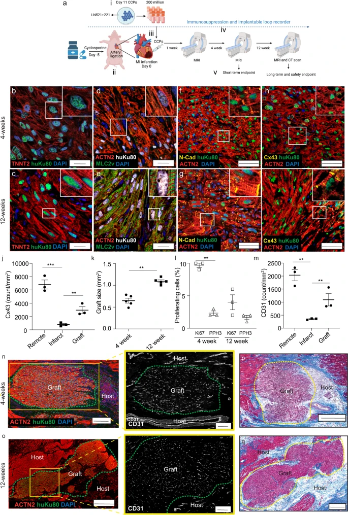 1689127096501238.png 1689127096501238.png