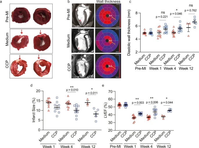 1689127120264230.png 1689127120264230.png