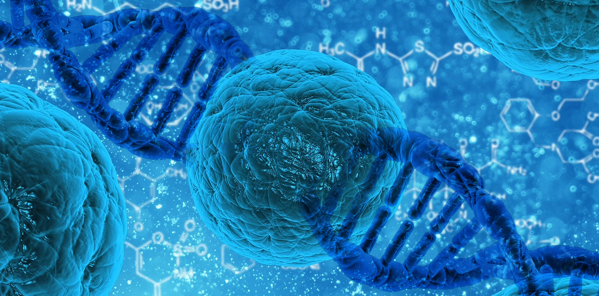 1691045287211184.jpg 1691045287211184.jpg