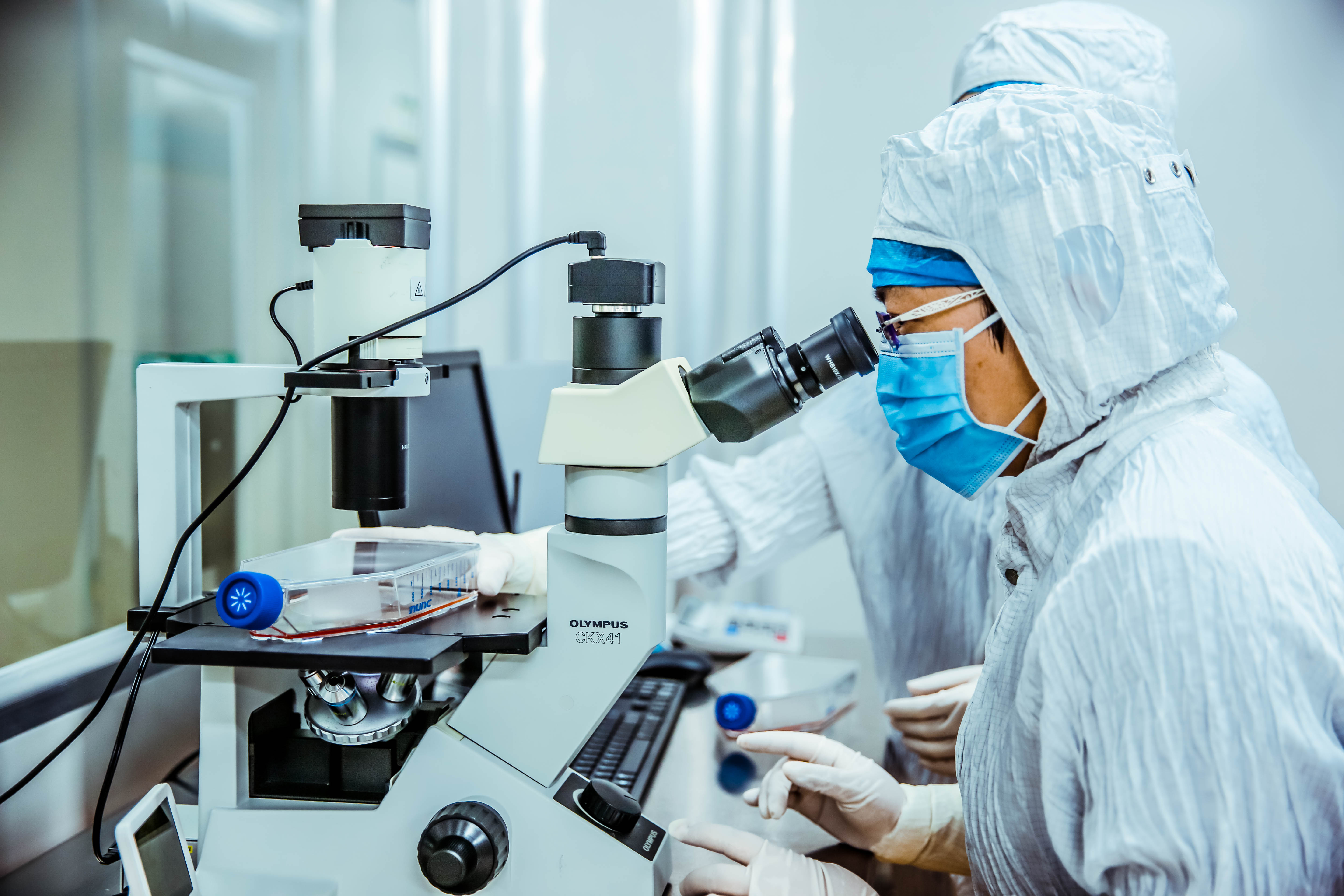 1691045360956574.jpg 1691045360956574.jpg