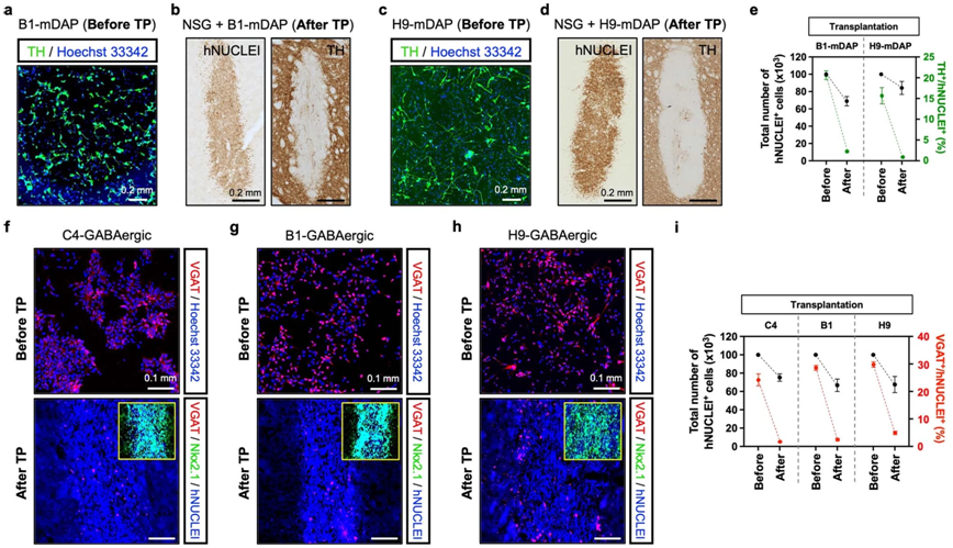 1692347469645210.png 1692347469645210.png