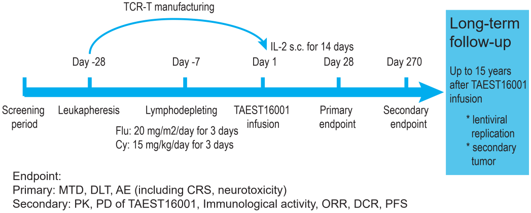 1694768667896257.png 0915新型TCR-T細胞免疫2.png