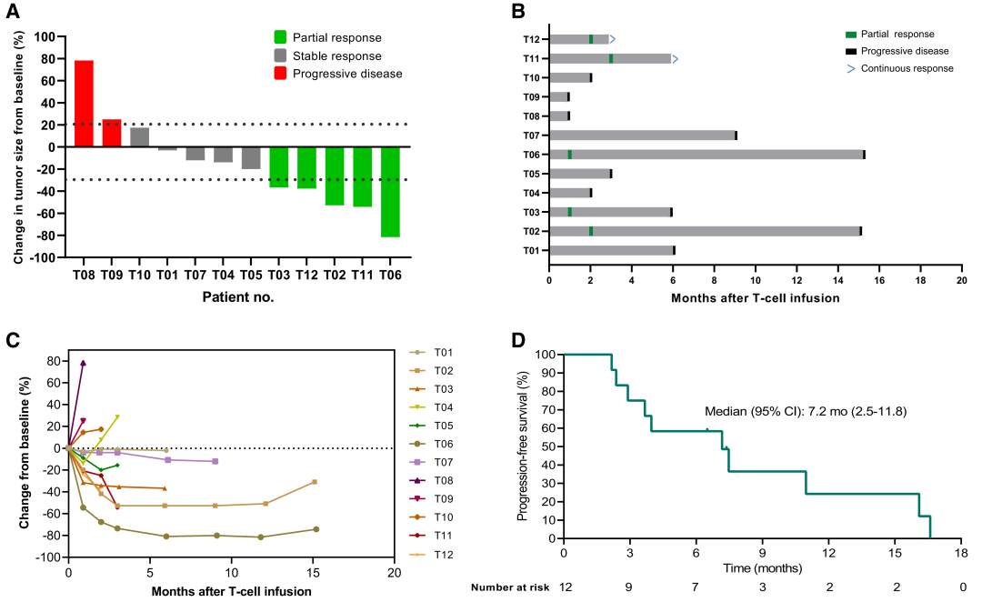 1694768672214535.png 0915新型TCR-T細胞免疫3.png