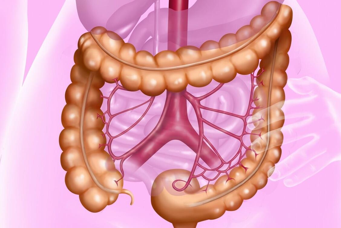 1698649742290999.jpg 1698649742290999.jpg